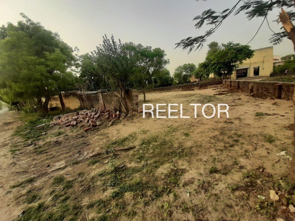 Find 2 Bhk In Kothiyakhad For Rent Borsad