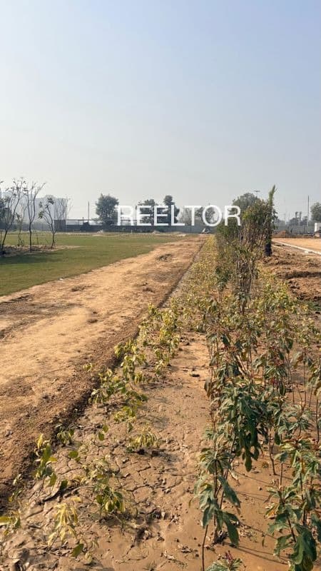 Plot For Sale In Thirupuvanam