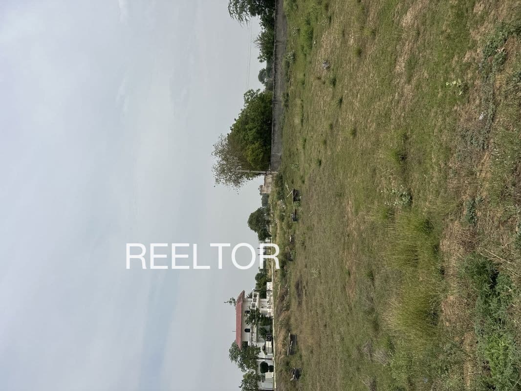 Plot For Sale In Sugauli