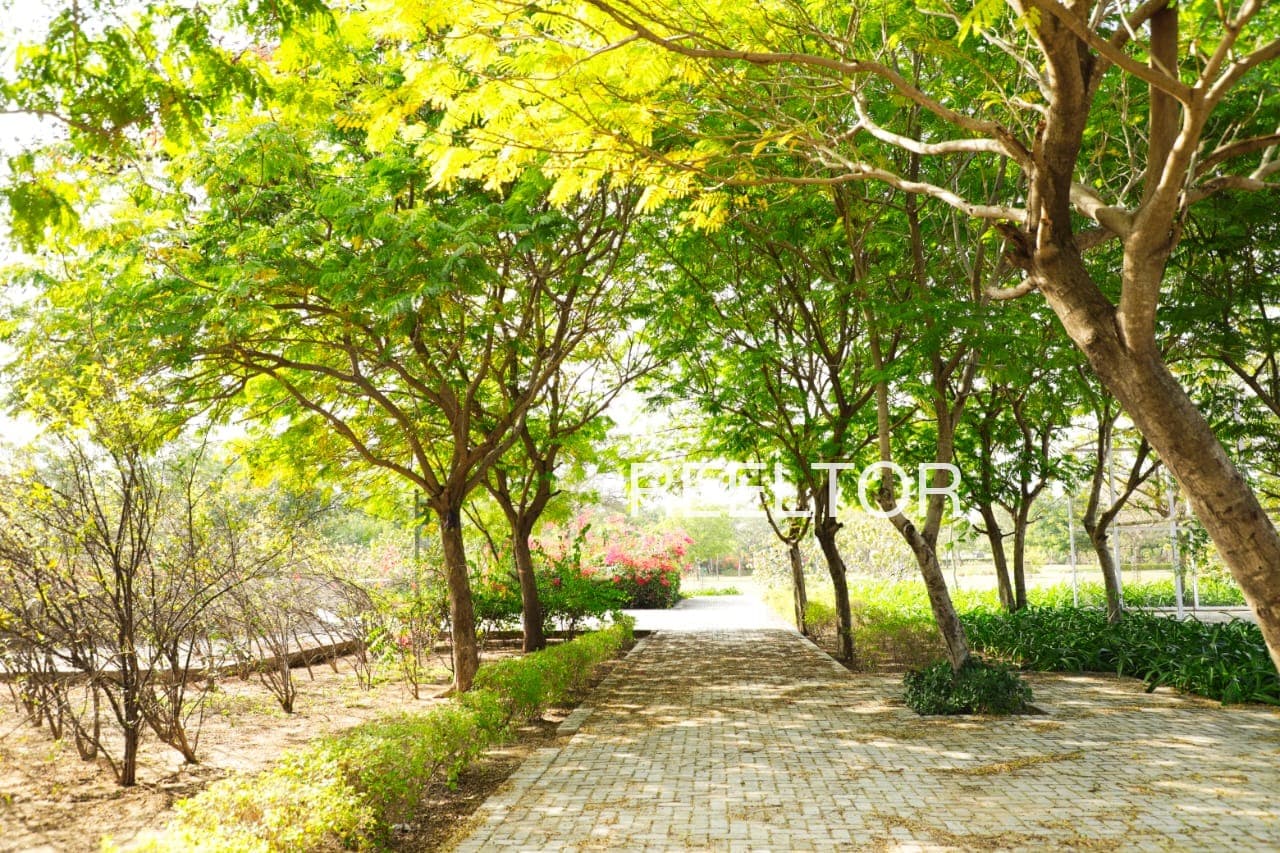 Buy 3 Bhk In Hadkai Khati Bina