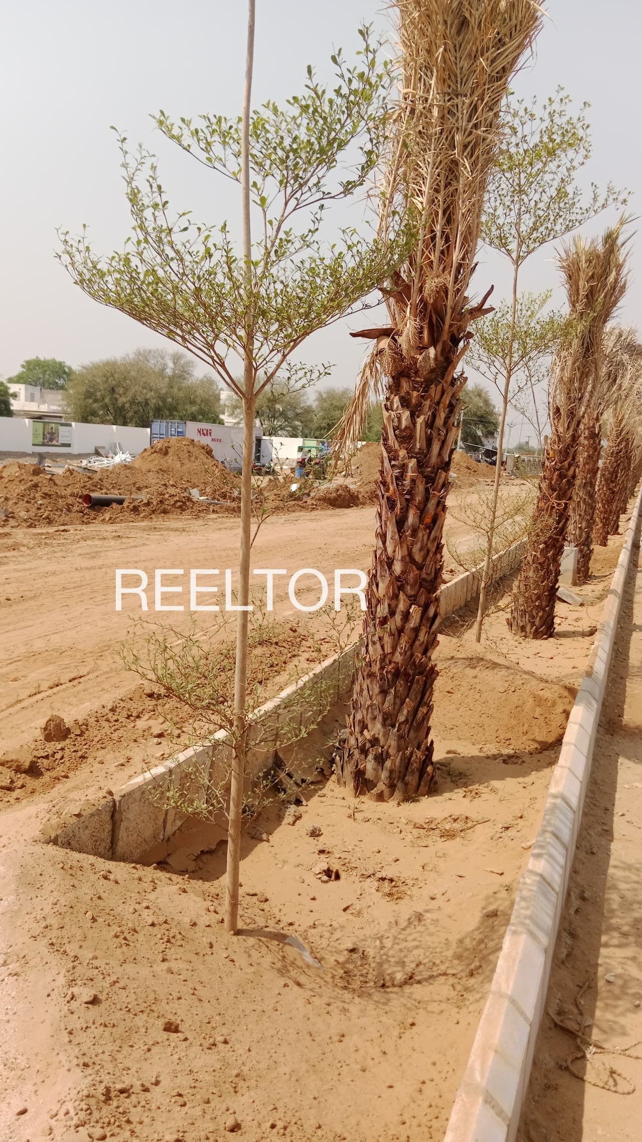 Available 1 Bhk In Telav Sanand