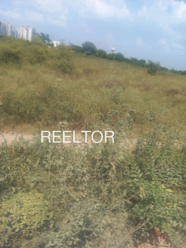 Plot For Sale In Tulsipur