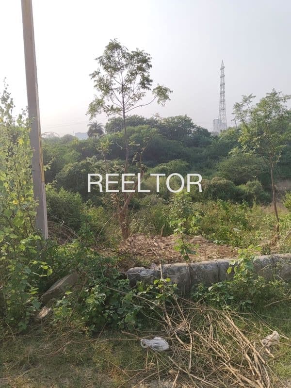 Plot For Sale In Mauganj