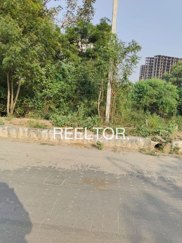 Find 4 Bhk In Ushafpur For Rent Bilari