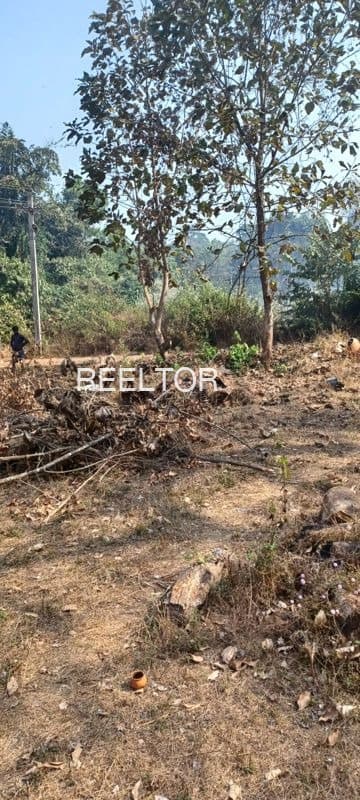 Available 3 Bhk In Gilding Udaipur