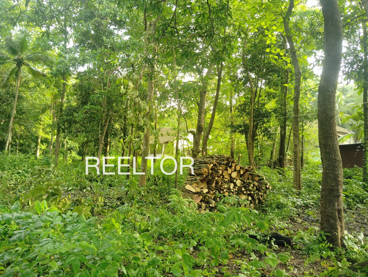 Plot For Sale In Tittakudi