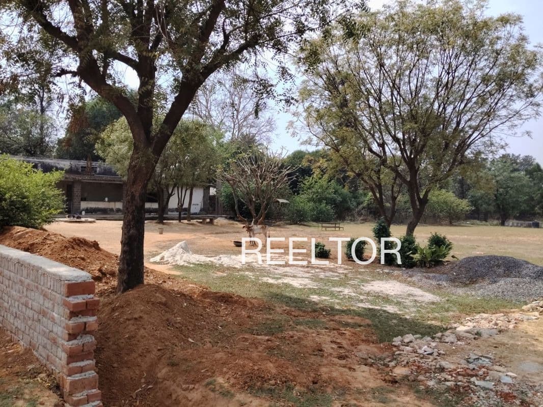 Explore 1 Bhk In Nathpura For Sale Bathinda