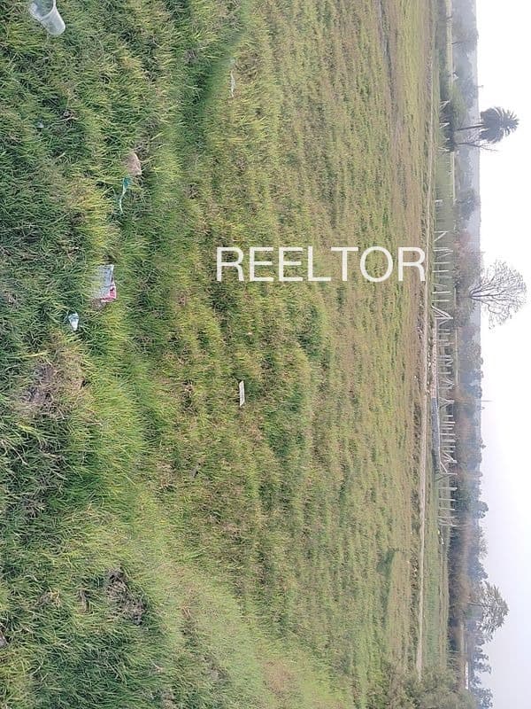 Buy 3 Bhk In Munsyari Uttarakhand