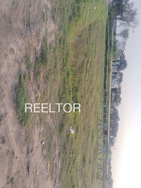 Buy 3 Bhk In Rupaianwala Faridkot