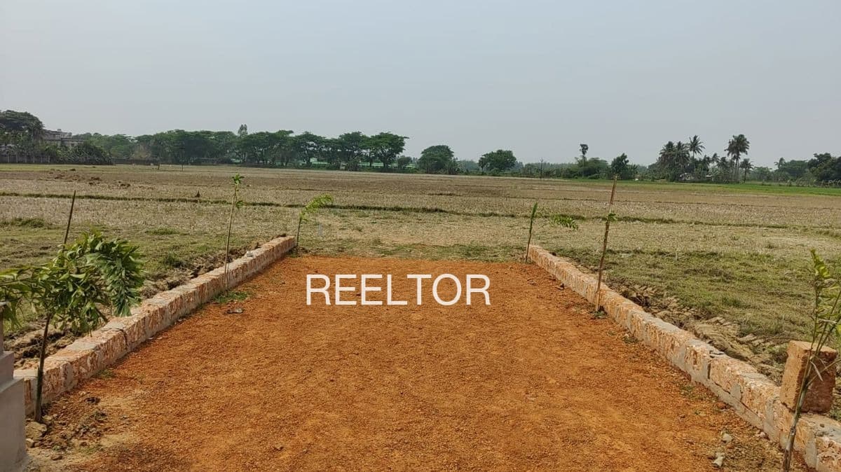 Plot For Sale In Sultanganj