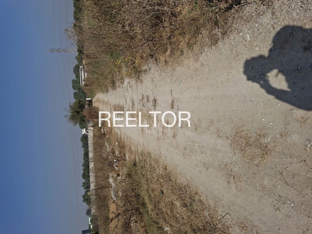 Buy 3 Bhk In Sher Khan Wala Budhlada