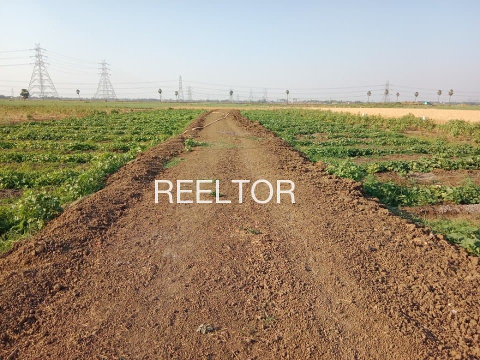 Buy 4 Bhk In Garahan Kullu