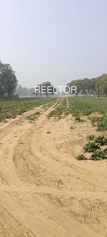 Plot For Sale In Soyagaon