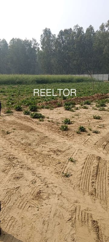 Plot For Sale In Nautanwa