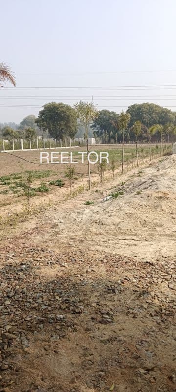 Buy 3 Bhk In Roura Chhatarpur