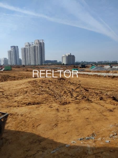 Plot For Sale In Tirwaganj