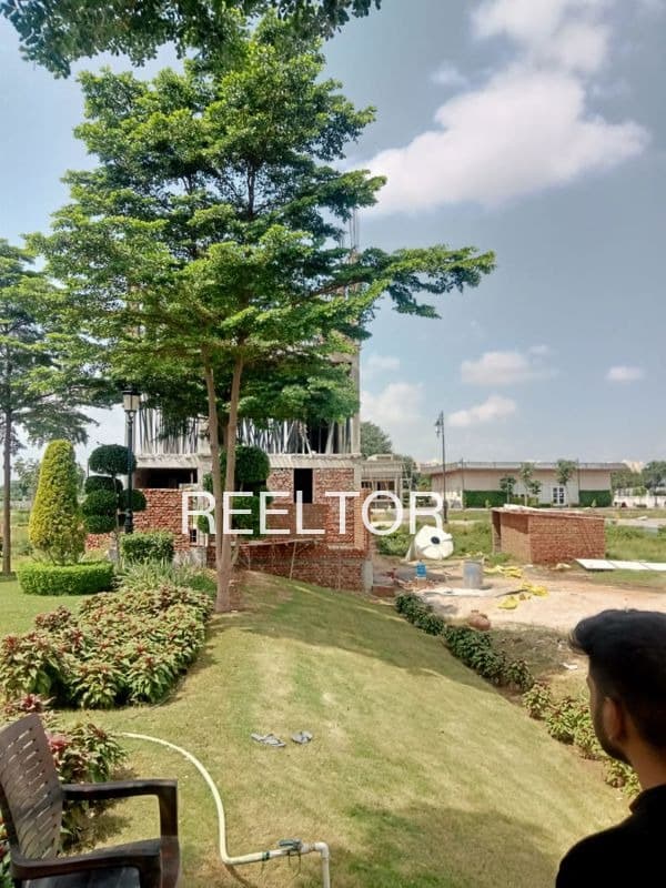 Plot For Sale In Mahidpur