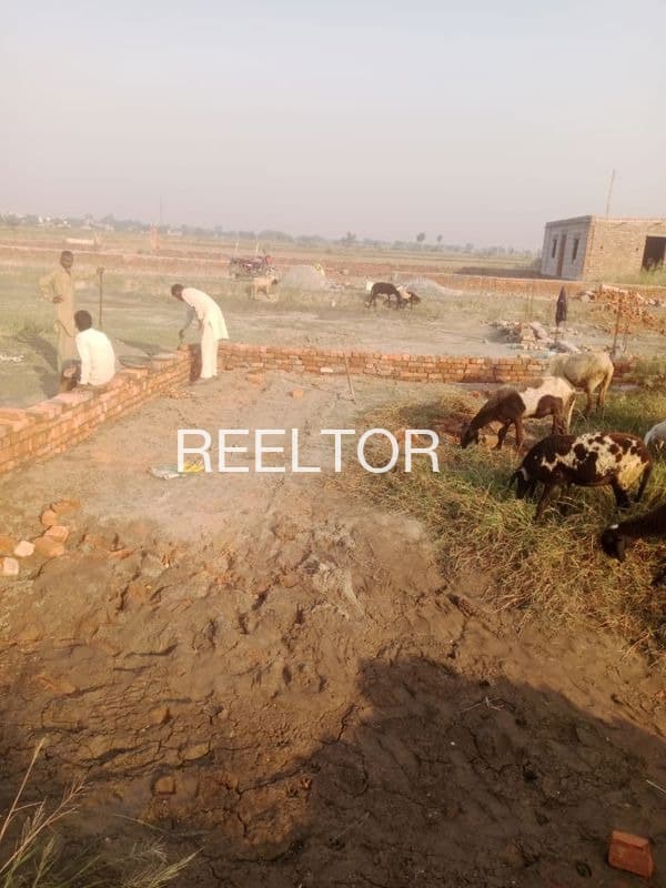 Explore 3 Bhk In Randuapura For Sale Ambah