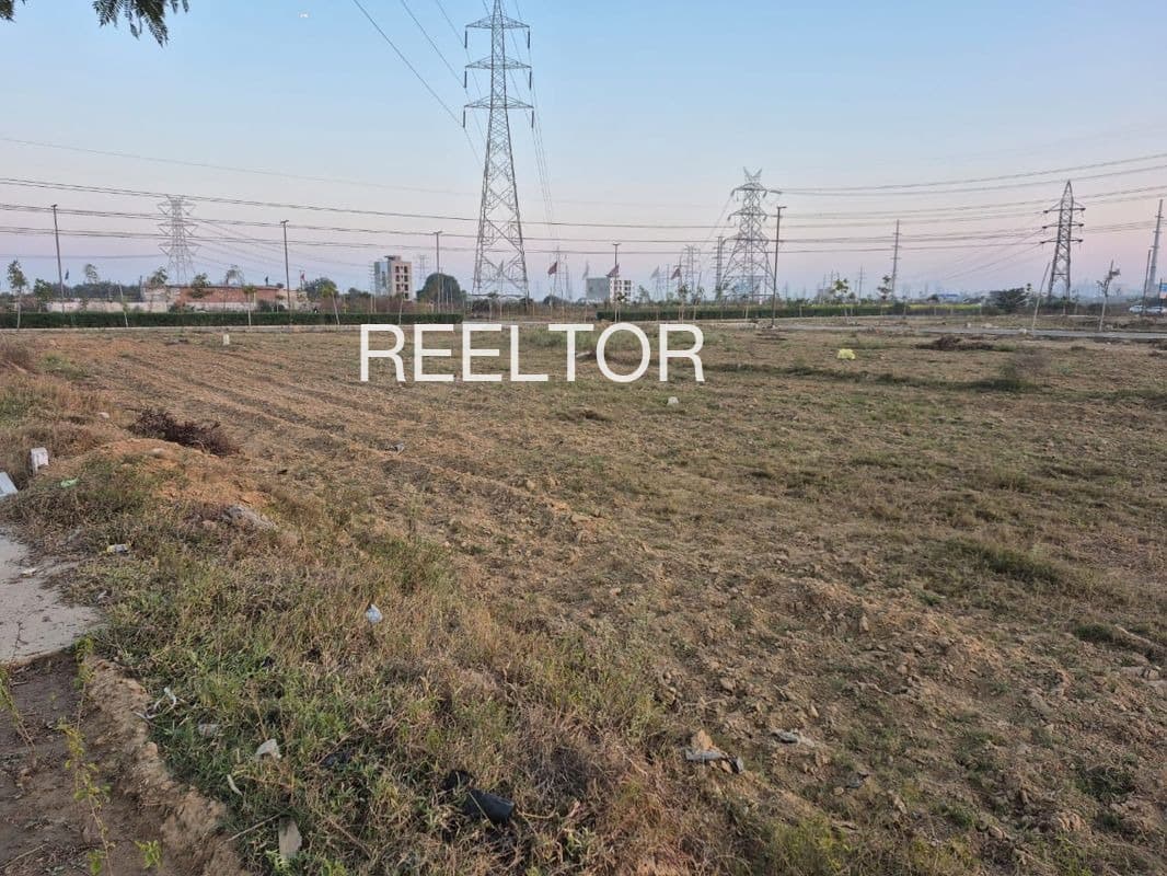 Buy 3 Bhk In Nad Vijaypur