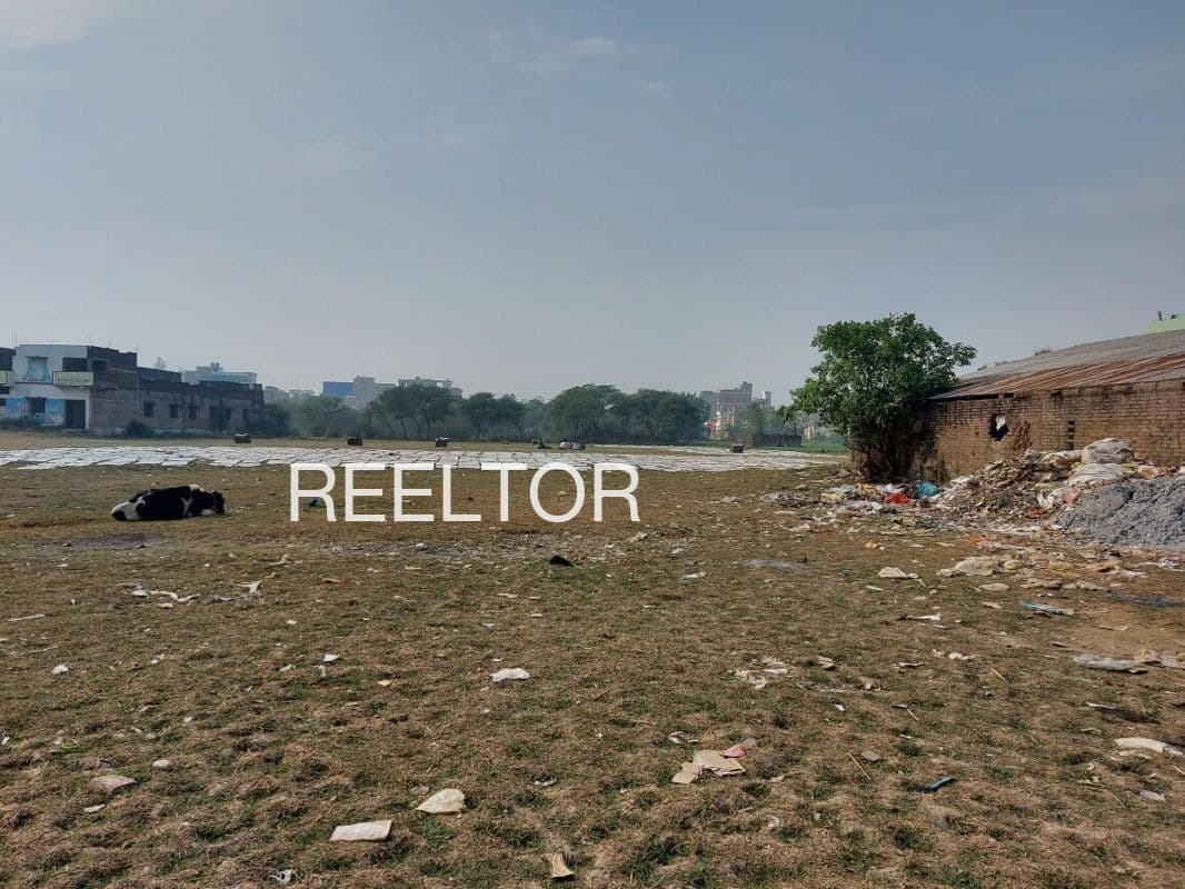 Available 3 Bhk In Dhalogi Kullu