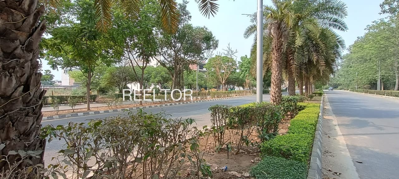 Available 3 Bhk In Hatnati Arki