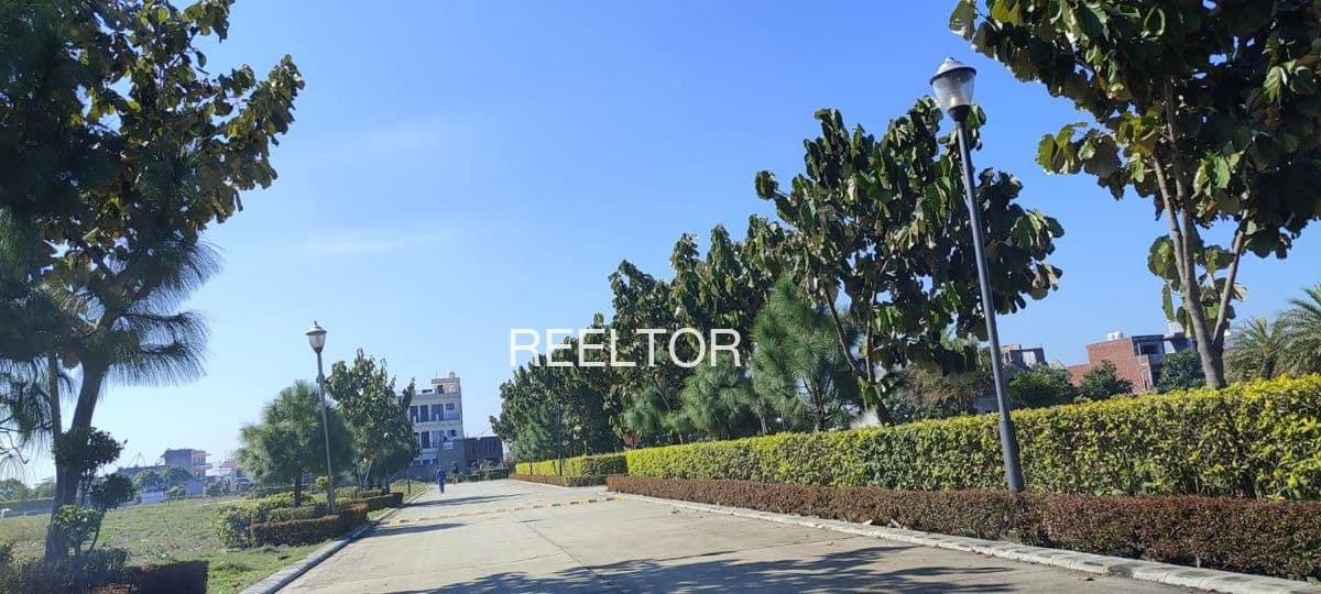 Available 3 Bhk In Poaha Shimla