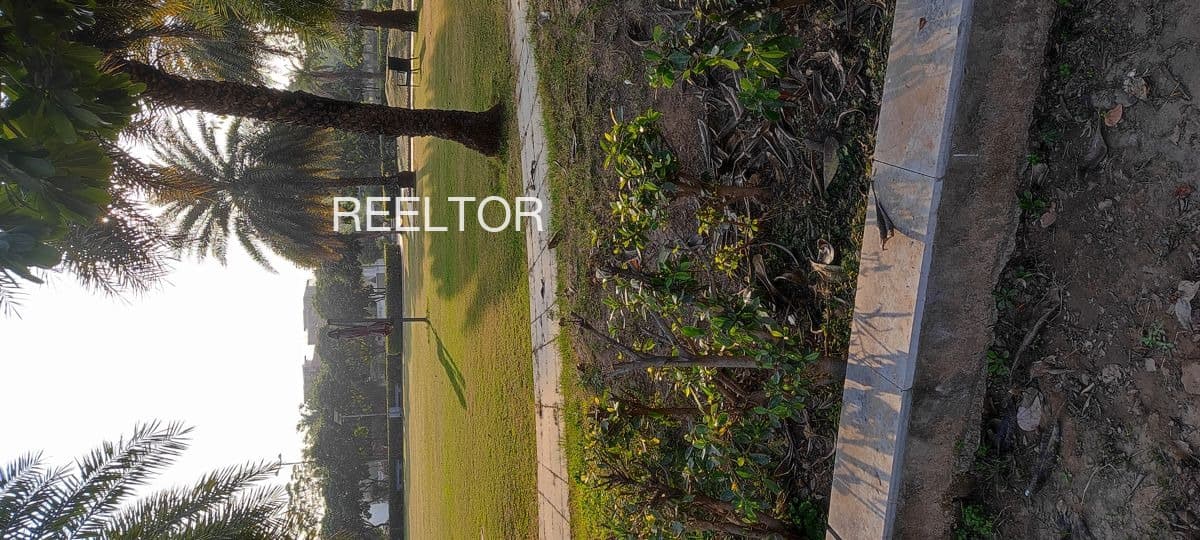 Buy 3 Bhk In Marmya Jaora