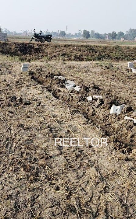 Buy 4 Bhk In Sanabaghatta Kunigal