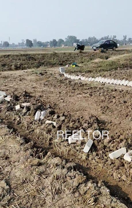 Explore 1 Bhk In Mandwala For Sale Faridkot