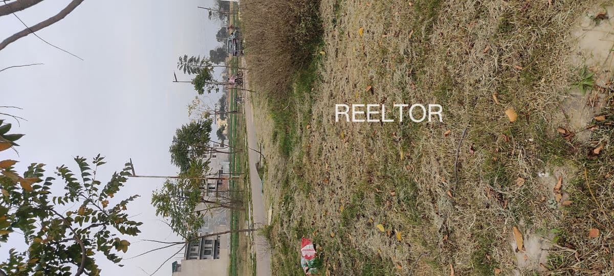 3 Bhk For Sale In Tanwani Udaipur