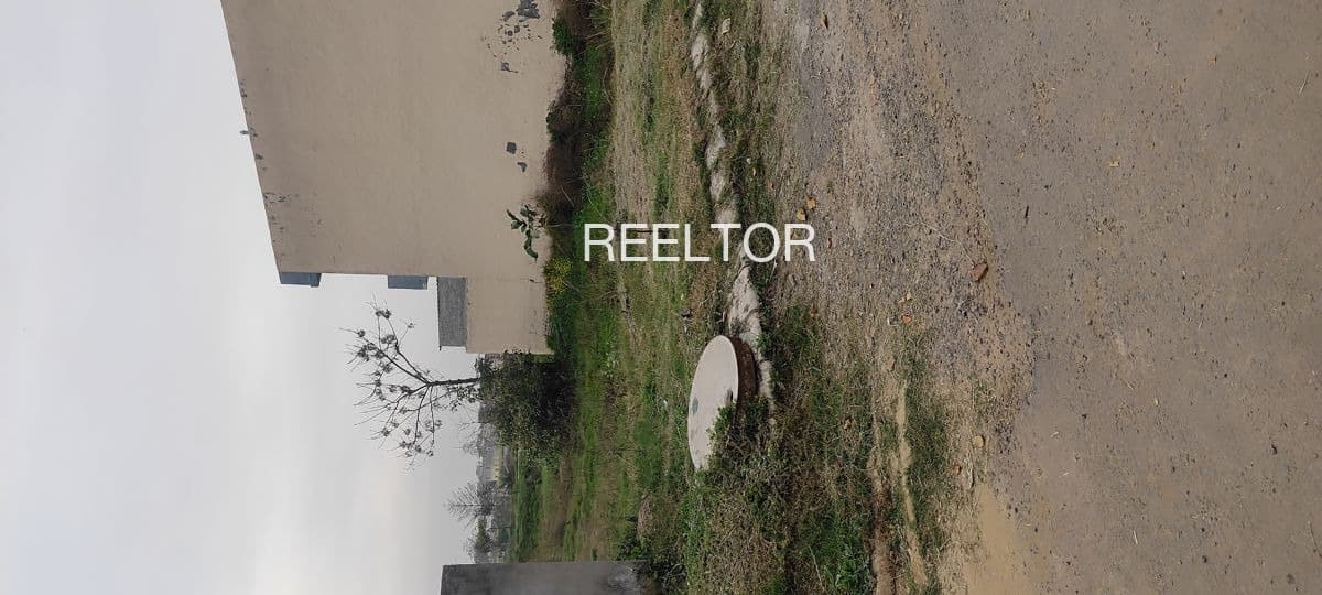 Available 3 Bhk In Gond Chamba