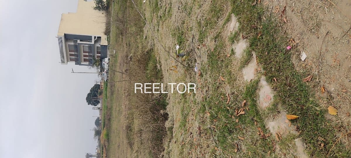 2 Bhk House For Rent In Cheepunkal Kottayam