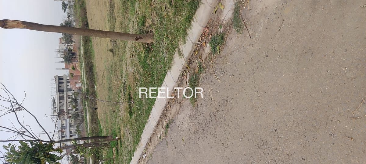 Available 3 Bhk In Kajat Shimla