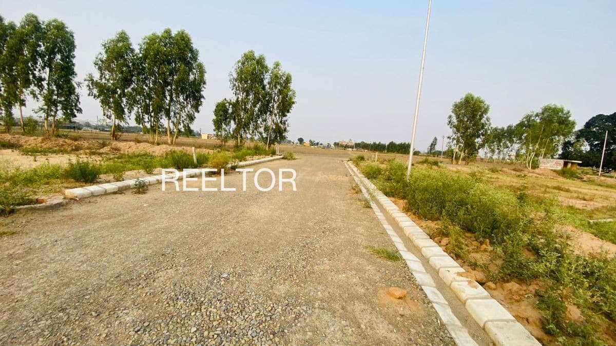 Plot For Sale In Tulsipur