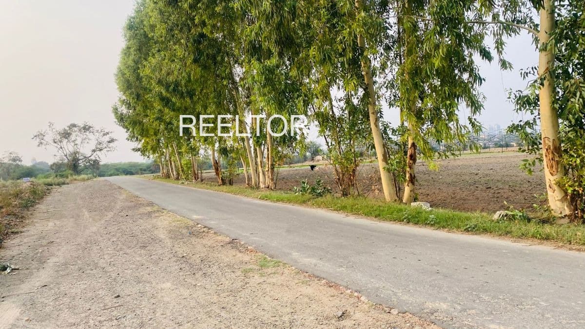 Available 2 Bhk In Bhagwan Singh Mathur City Enclave Gwalior