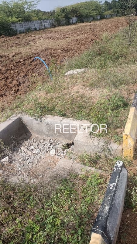 Buy 3 Bhk In Milghan Dabra