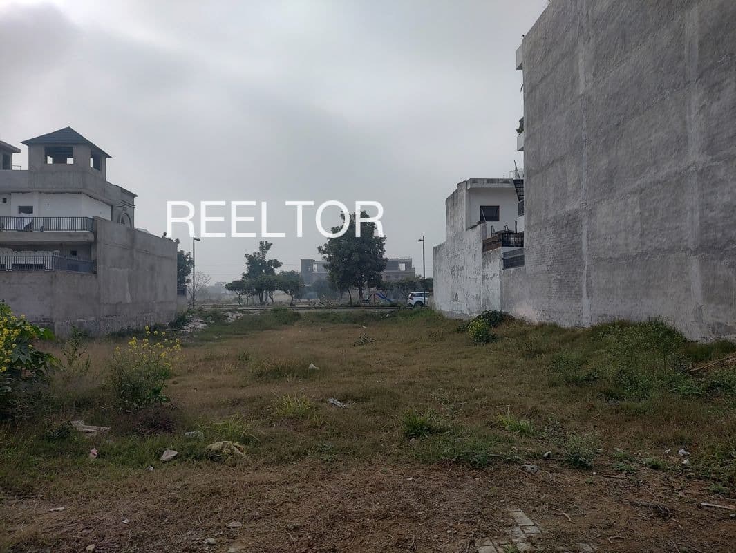 Explore 1 Bhk In Chamunda For Sale Dharamshala