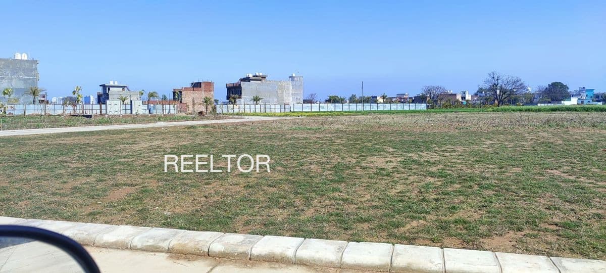 Buy 4 Bhk In Masola Mangrulpir