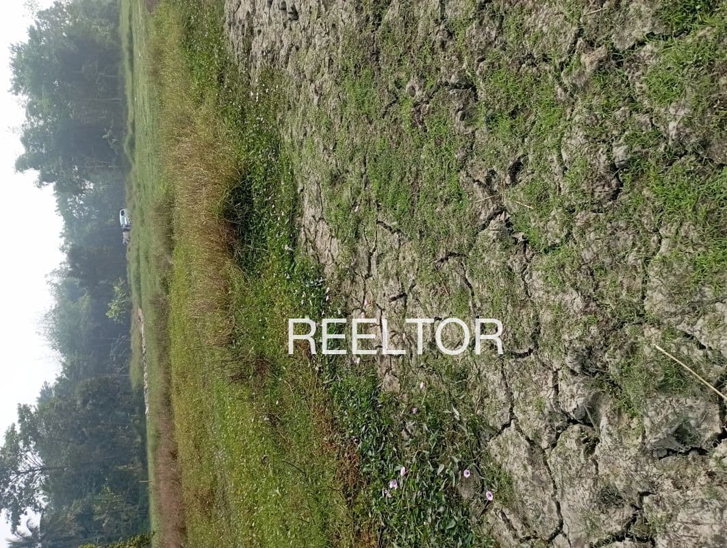 Buy 4 Bhk In Sarhog Shimla