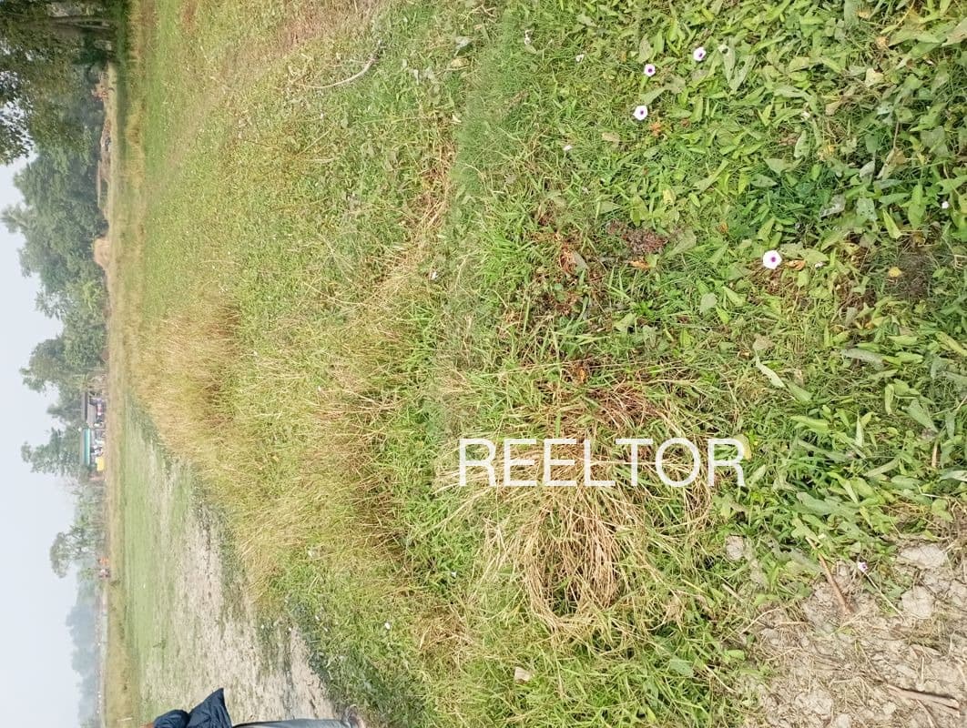 Available 1 Bhk In Moda Jamnagar