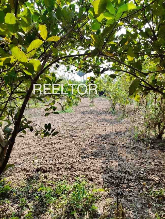 Buy 2 Bhk In Tapal Majra Rupnagar