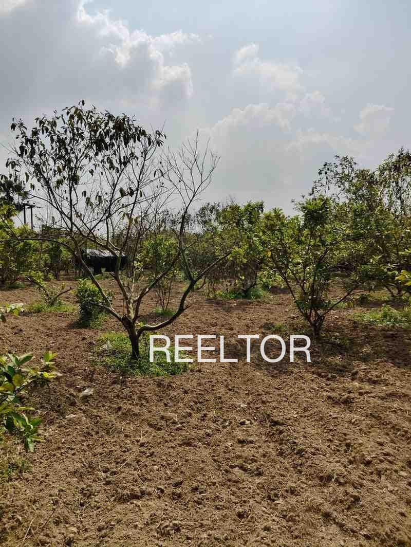 Explore 1 Bhk In Nanuwala For Sale Muktsar