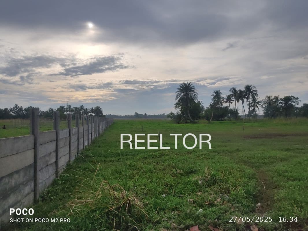 Explore 2 Bhk In Mogarani For Sale Navapur