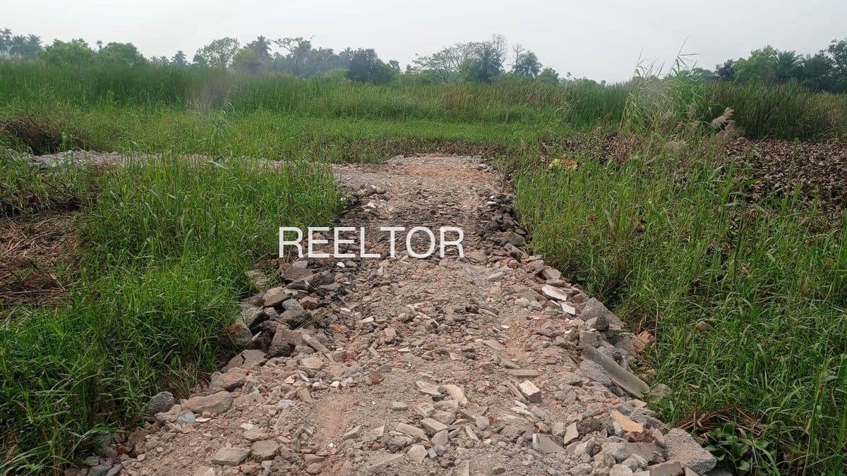 Available 1 Bhk In Tornod Dhar