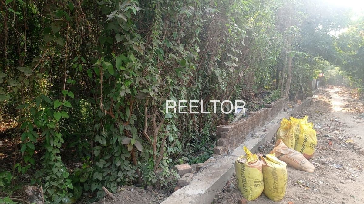 Buy 4 Bhk In Mashara Kullu