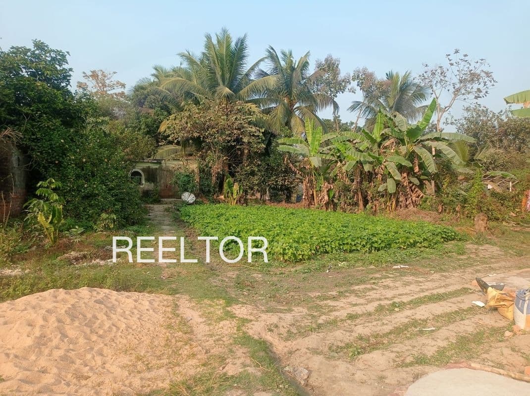 Plot For Sale In Tulsipur
