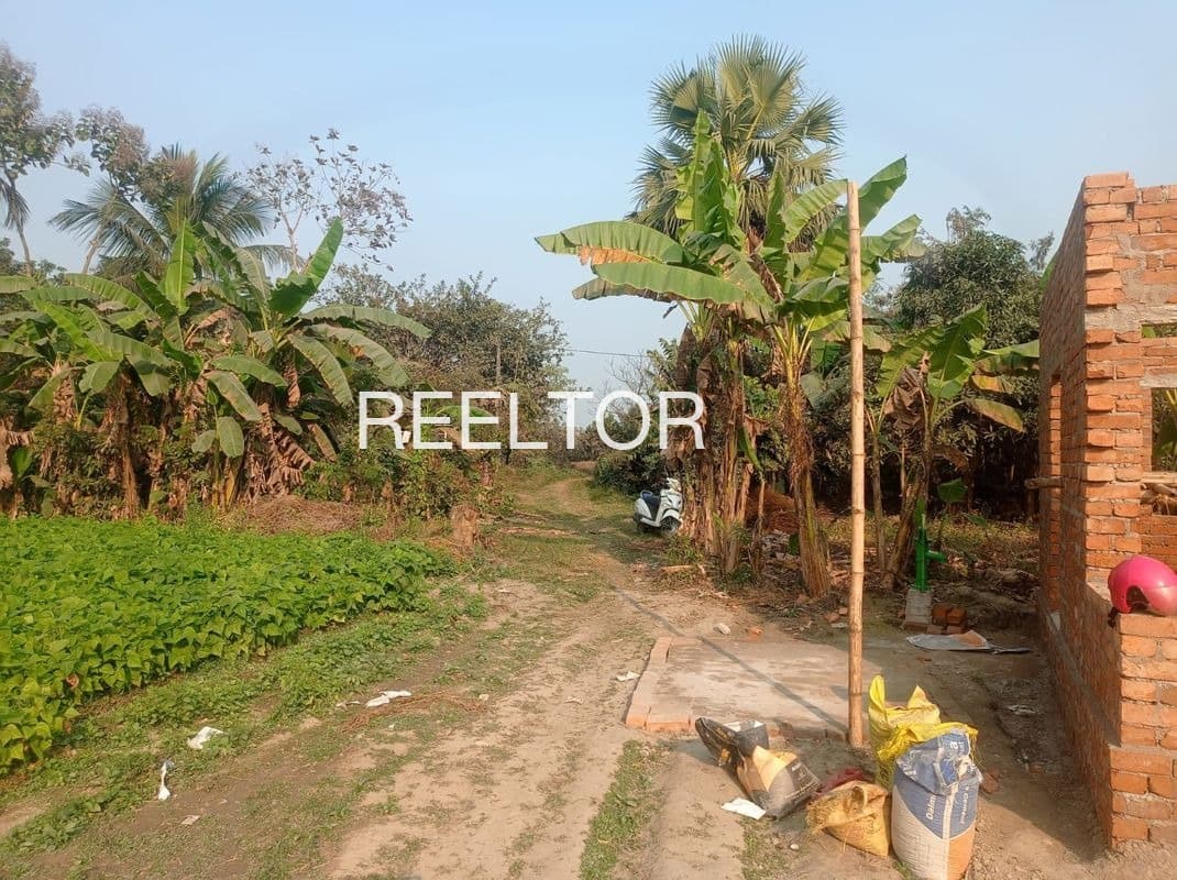 Buy 1 Bhk In Muthuvampadi Colony Payyannur