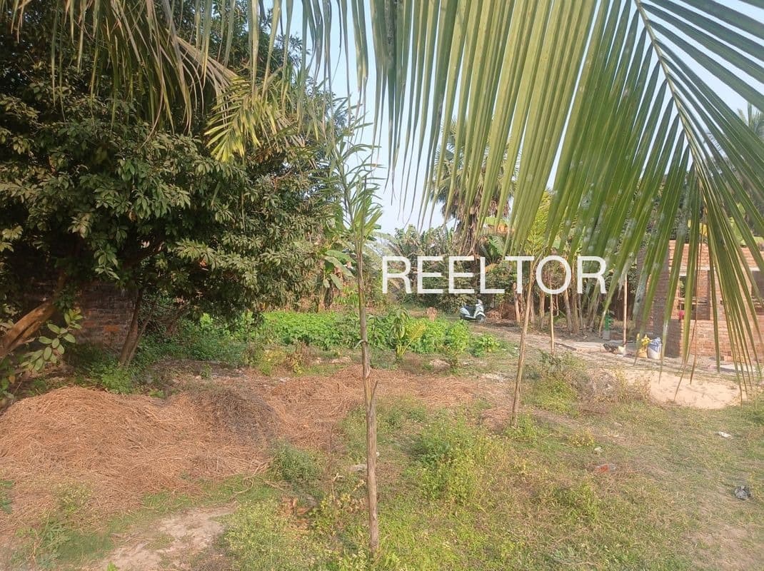 Plot For Sale In Tiruttani