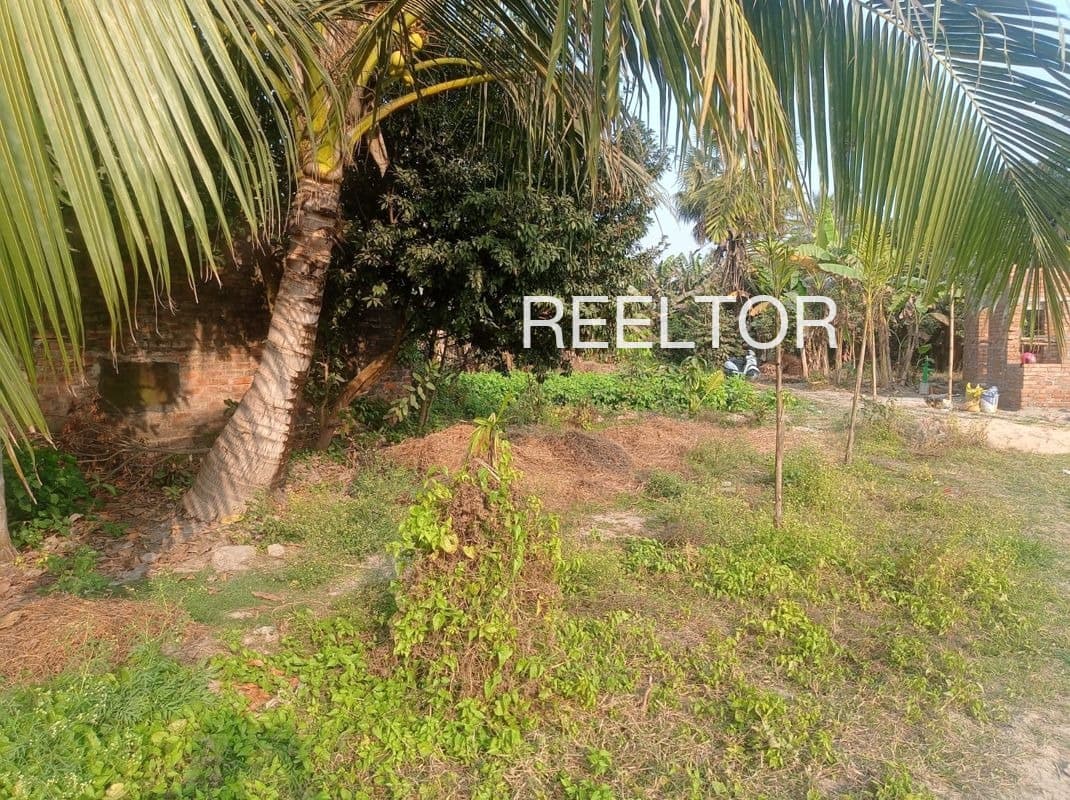 Plot For Sale In Tirwaganj