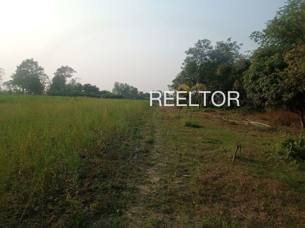 Available 2 Bhk In Chidawad Dhar